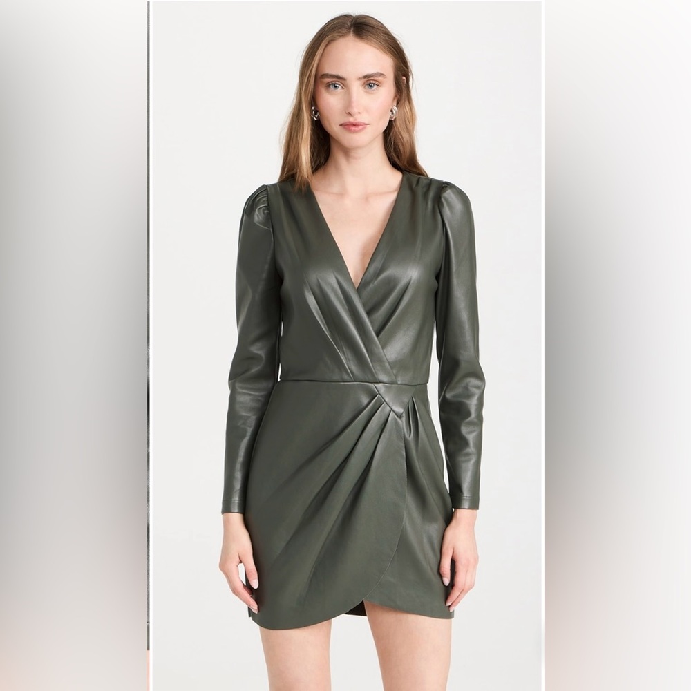 Saylor Veronicka Dress - NWOT